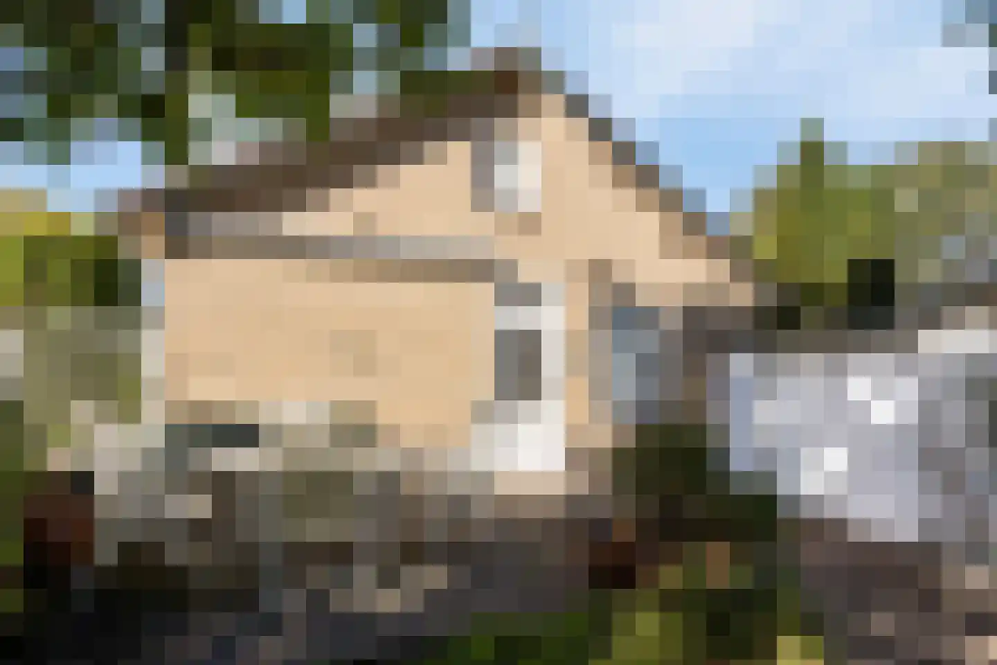 Grotestraat 106 Sambeek thumbnail 30