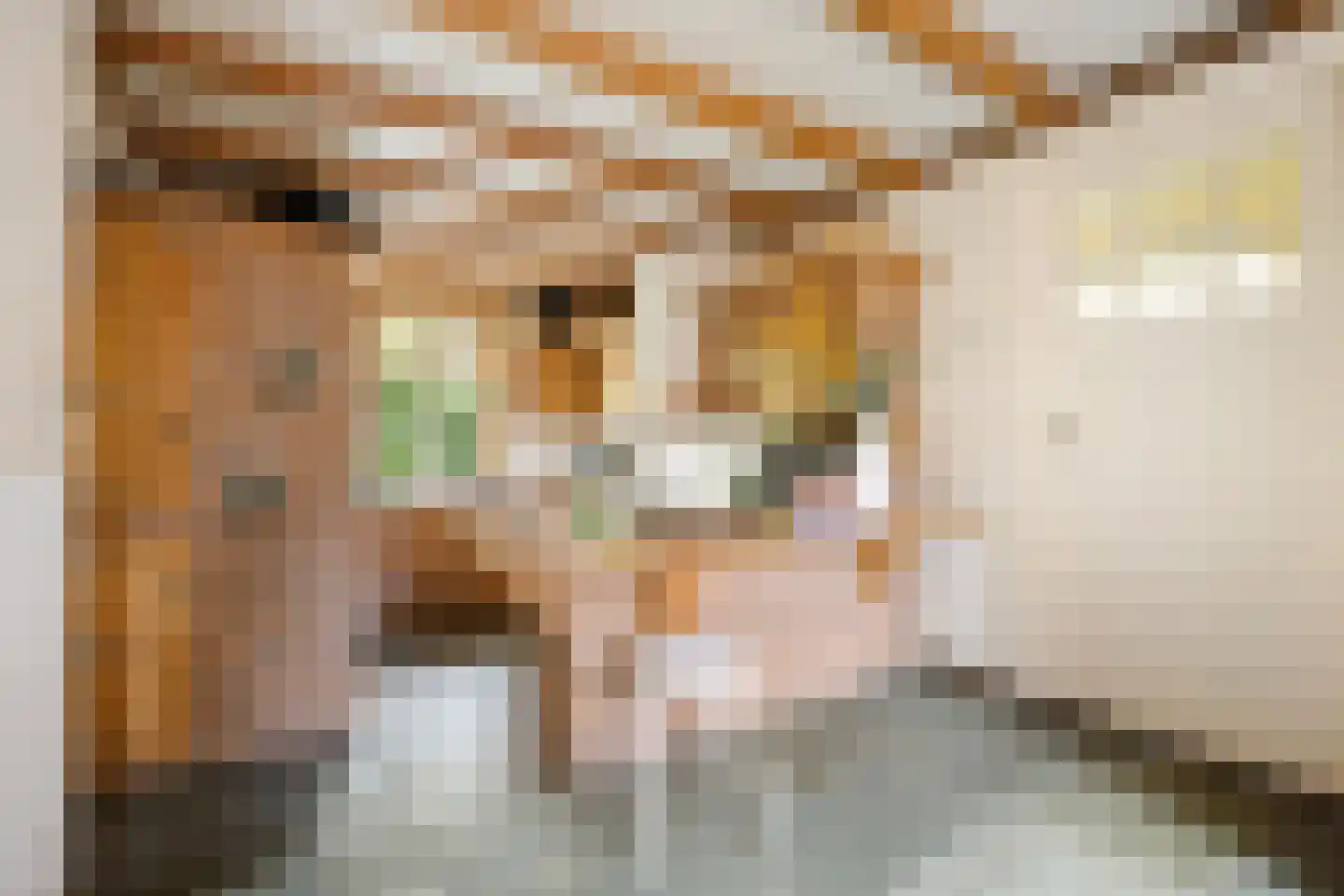 Grotestraat 11 Beers NB thumbnail 12