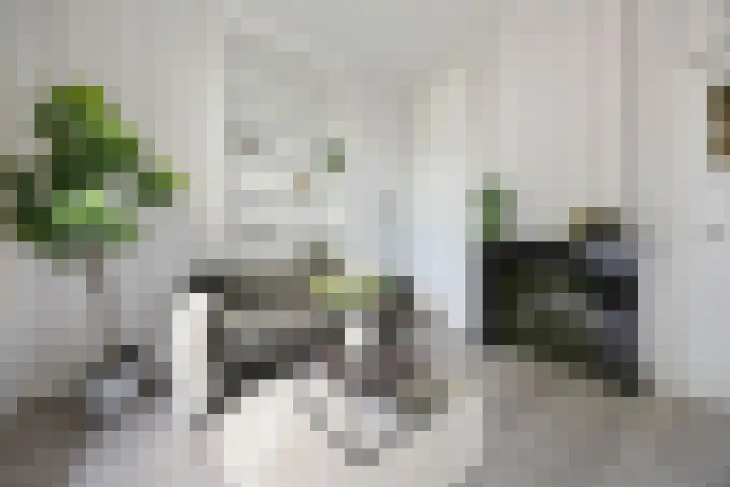 Grotestraat 11 Beers NB thumbnail 22