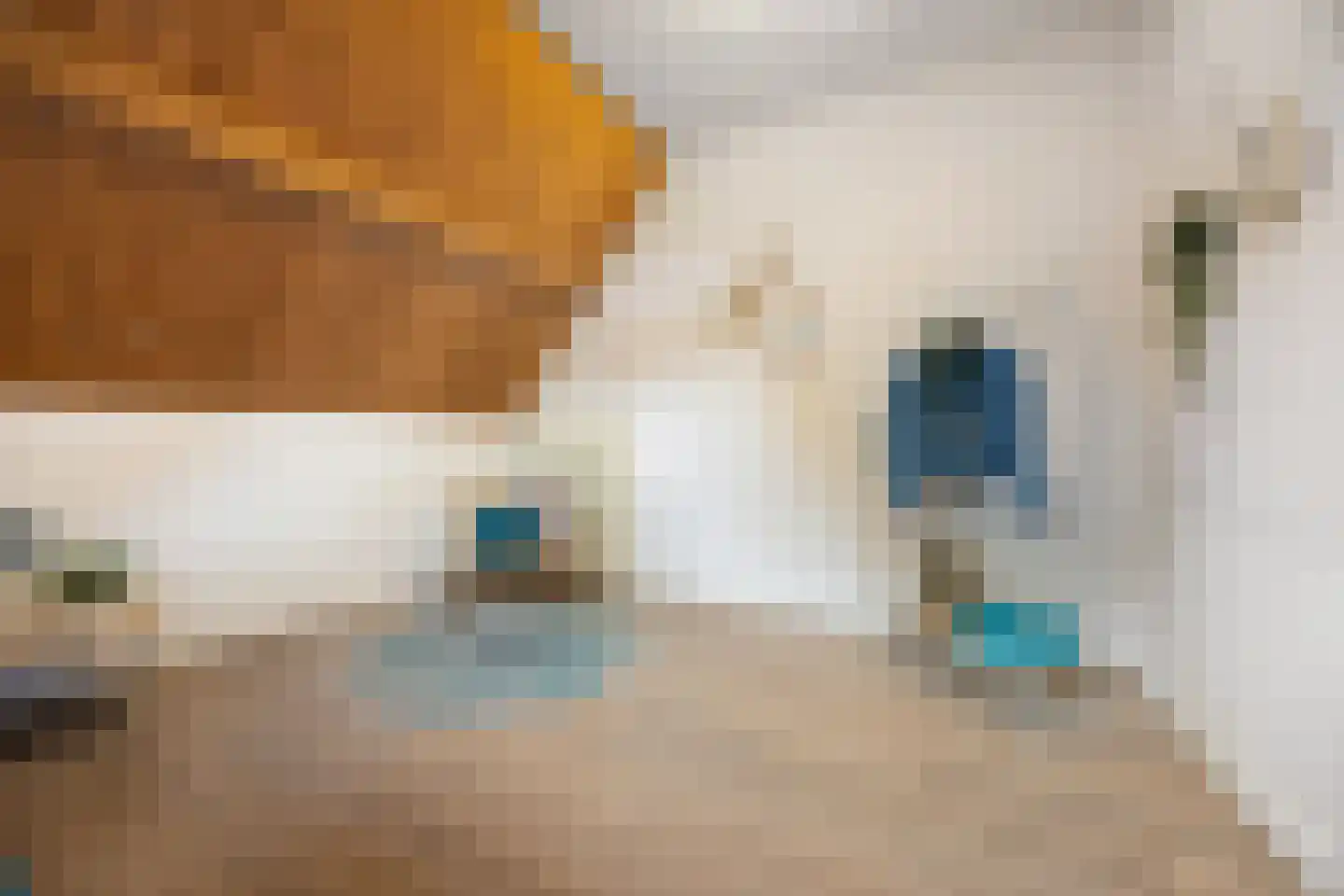 Grotestraat 11 Beers NB thumbnail 34