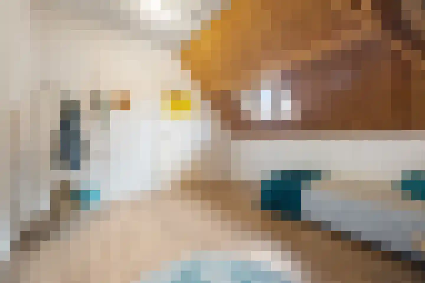 Grotestraat 11 Beers NB thumbnail 35