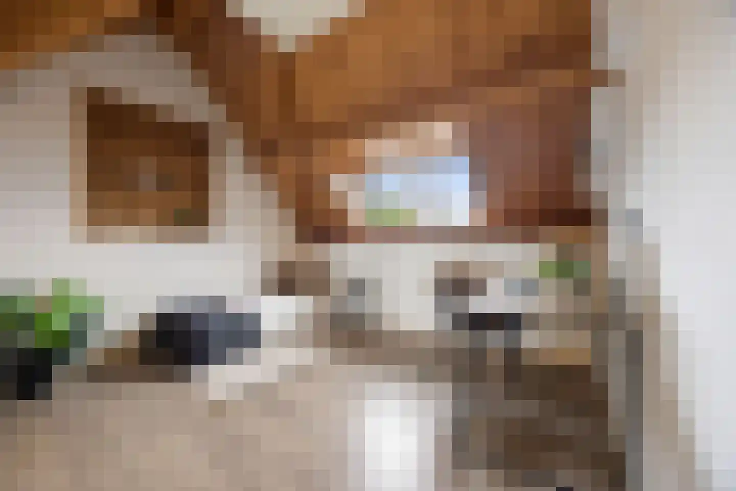 Grotestraat 11 Beers NB thumbnail 36