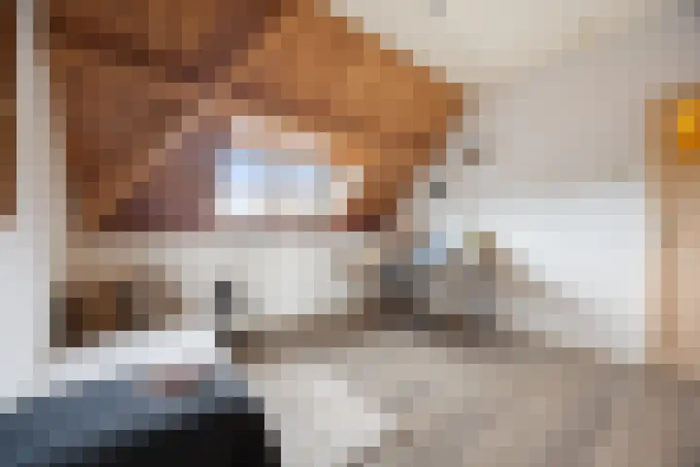 Grotestraat 11 Beers NB thumbnail 37