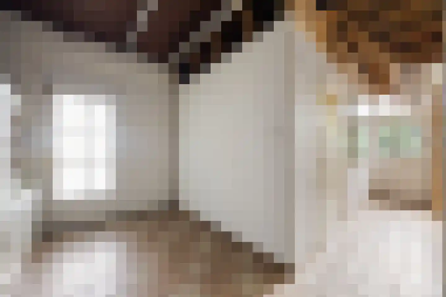 Grotestraat 11 Beers NB thumbnail 49
