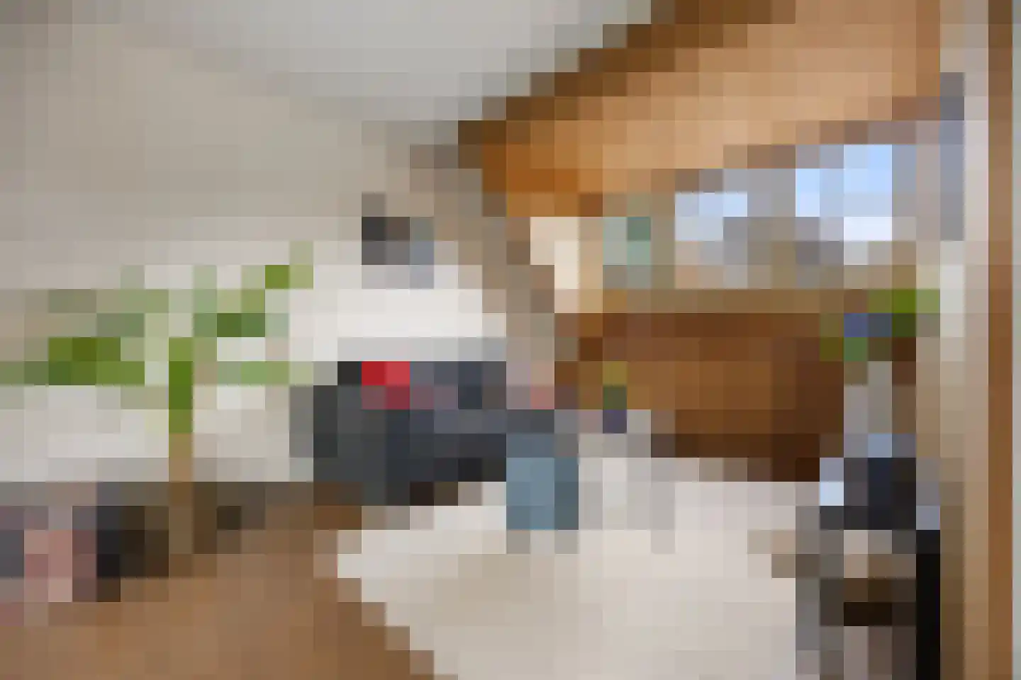 Grotestraat 11 Beers NB thumbnail 61