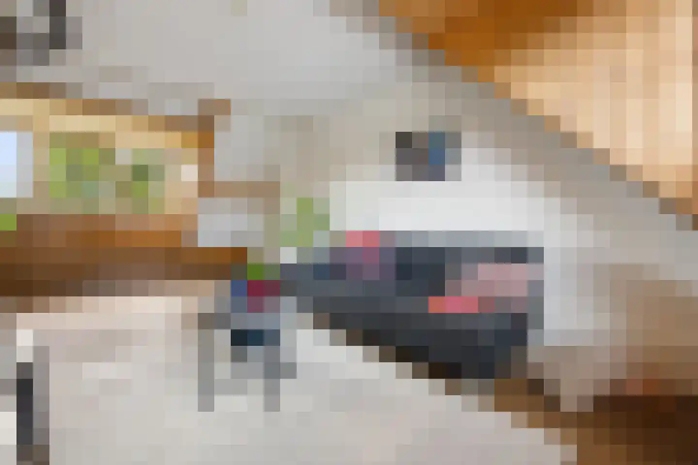 Grotestraat 11 Beers NB thumbnail 63