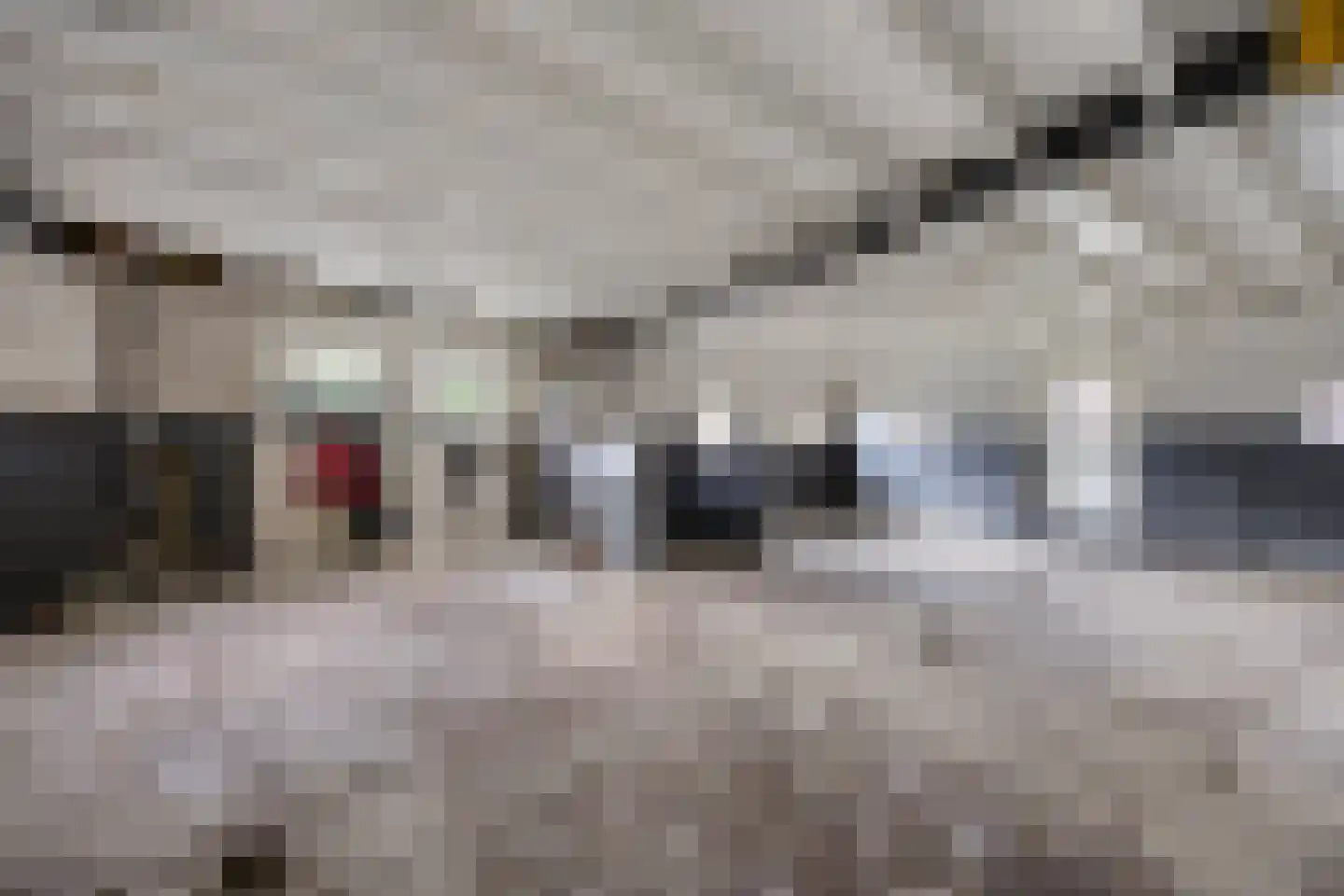 Grotestraat 11 Beers NB thumbnail 69
