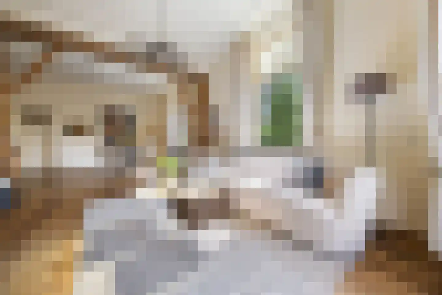 Grotestraat 11 Beers NB thumbnail 8