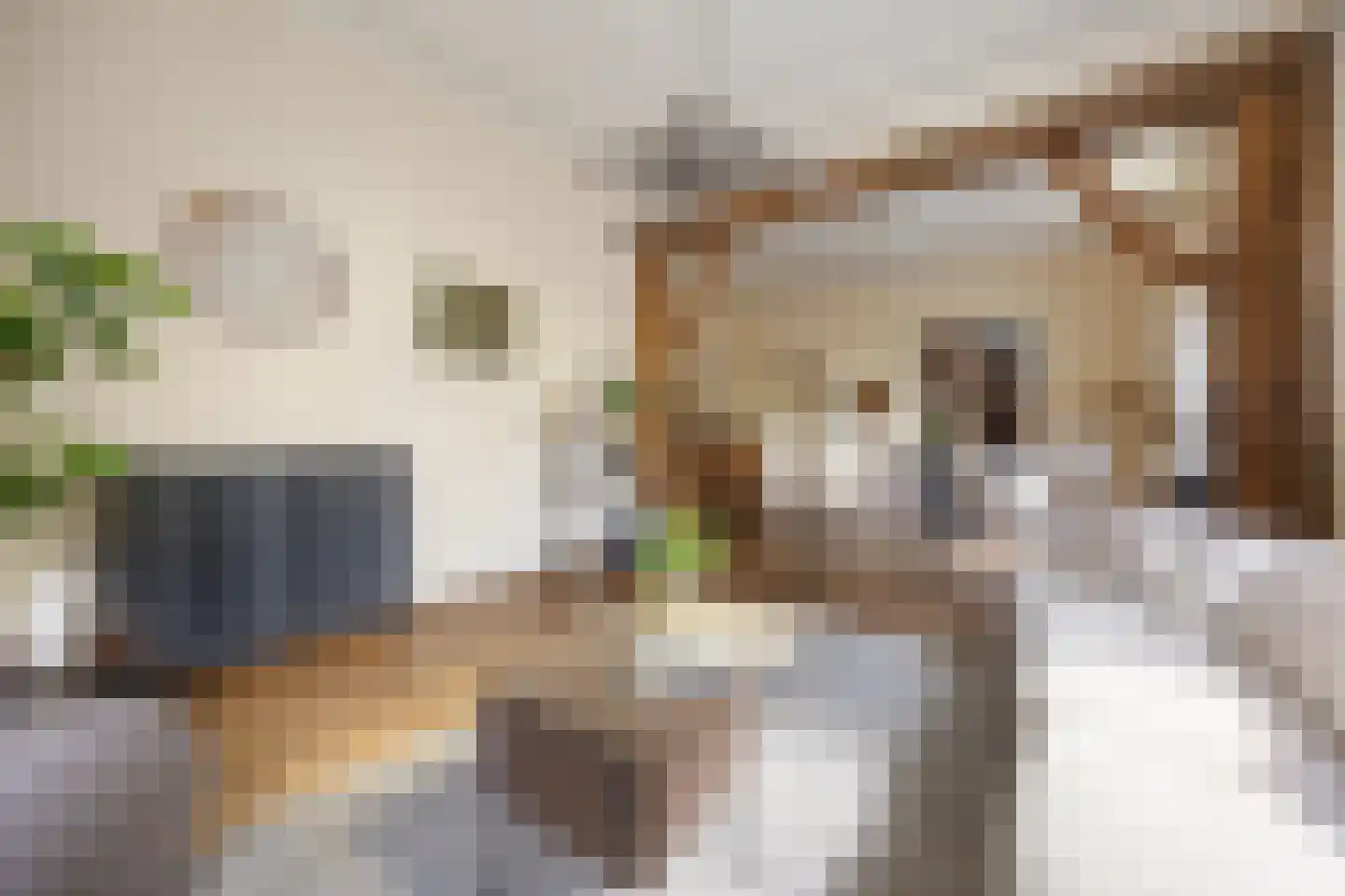 Grotestraat 11 Beers NB thumbnail 9