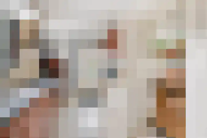 Grotestraat 12 Deest thumbnail 13