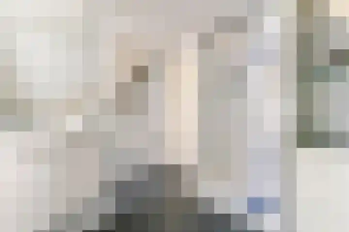 Grotestraat 12 Deest thumbnail 27