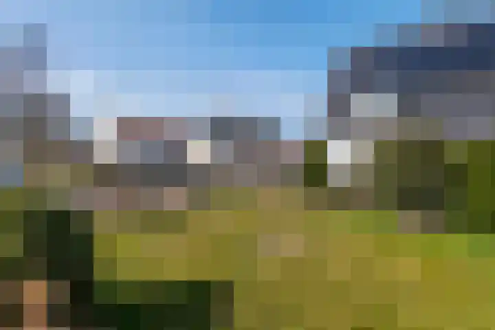 Grotestraat 12 Deest thumbnail 45