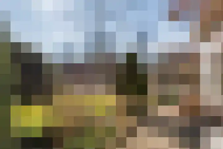 Grotestraat 12 Deest thumbnail 46
