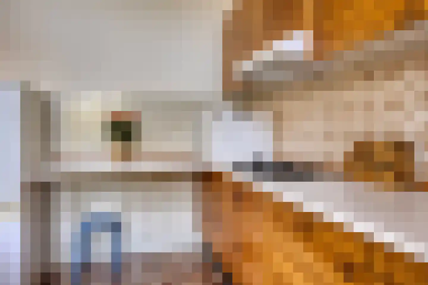 Grotestraat 120 Borne thumbnail 24