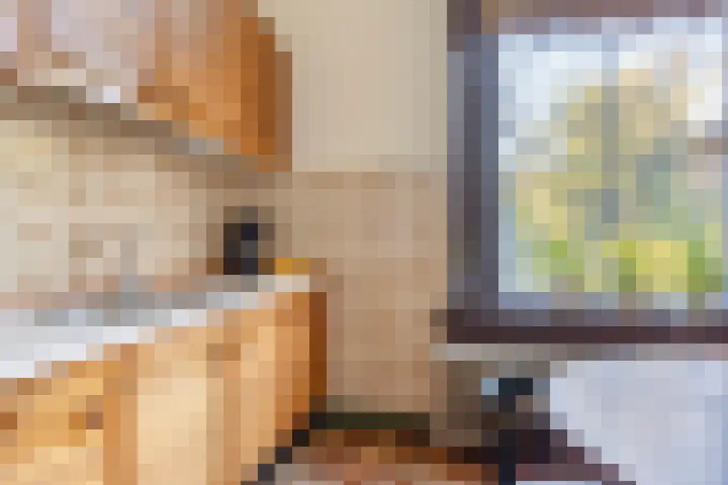 Grotestraat 120 Borne thumbnail 25
