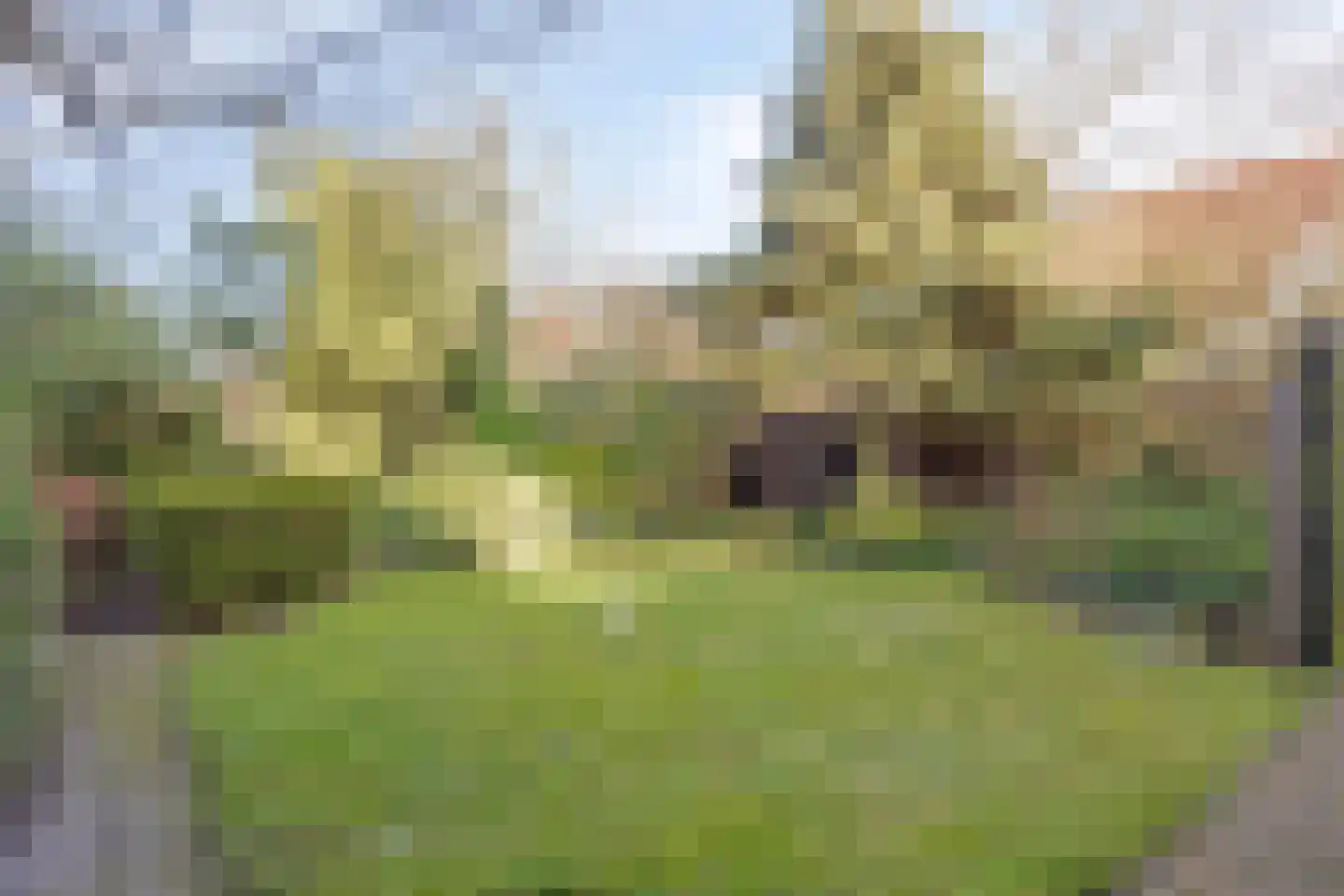 Grotestraat 120 Borne thumbnail 4