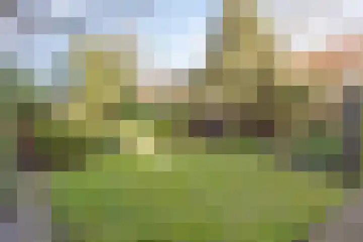 Grotestraat 120 Borne thumbnail 4