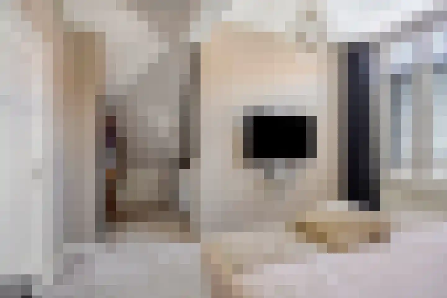 Grotestraat 128 Waalwijk thumbnail 26