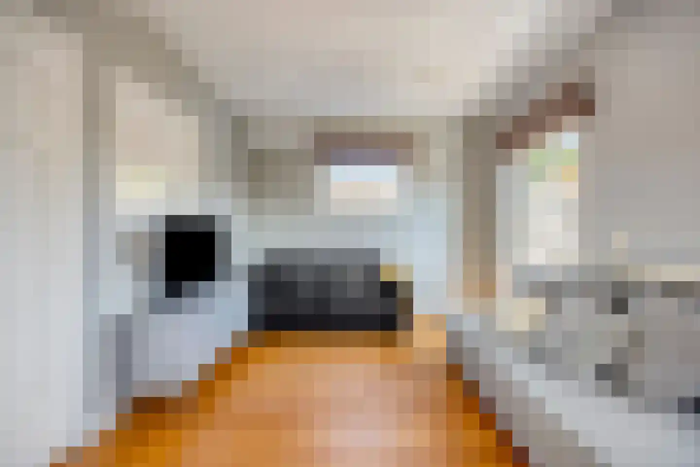 Grotestraat 128 Waalwijk thumbnail 33