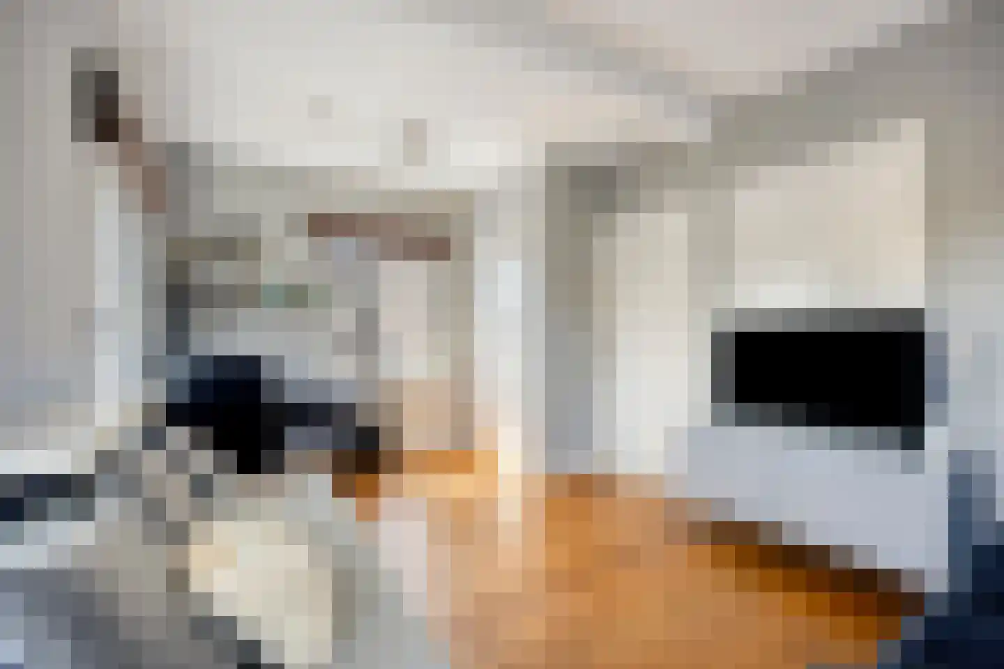Grotestraat 128 Waalwijk thumbnail 34
