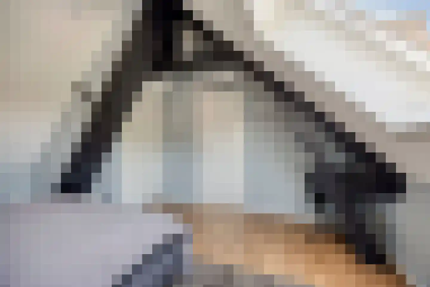 Grotestraat 128 Waalwijk thumbnail 39