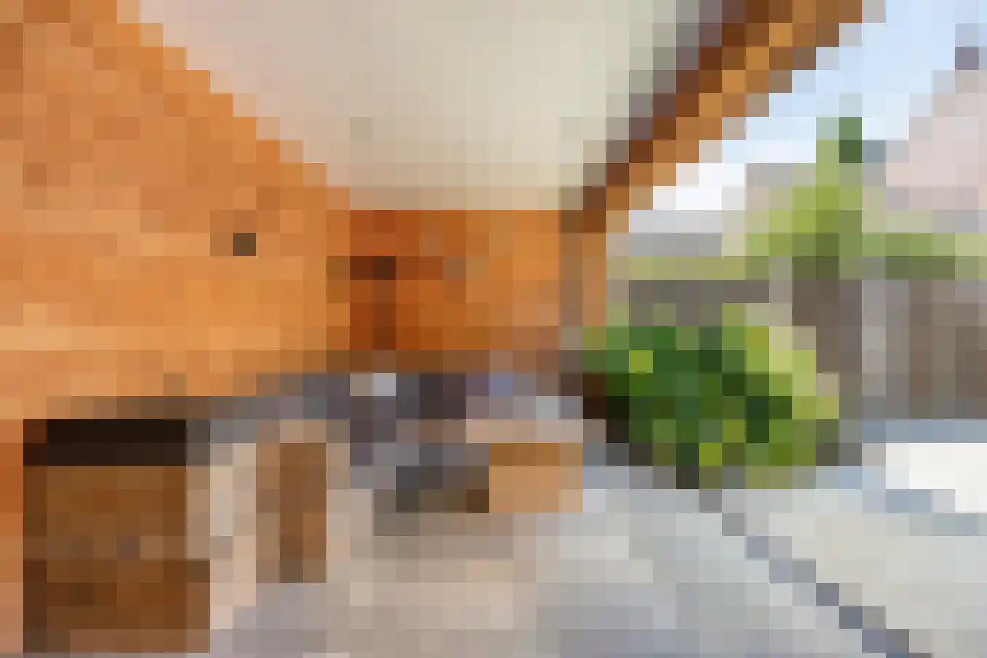 Grotestraat 128 Waalwijk thumbnail 46