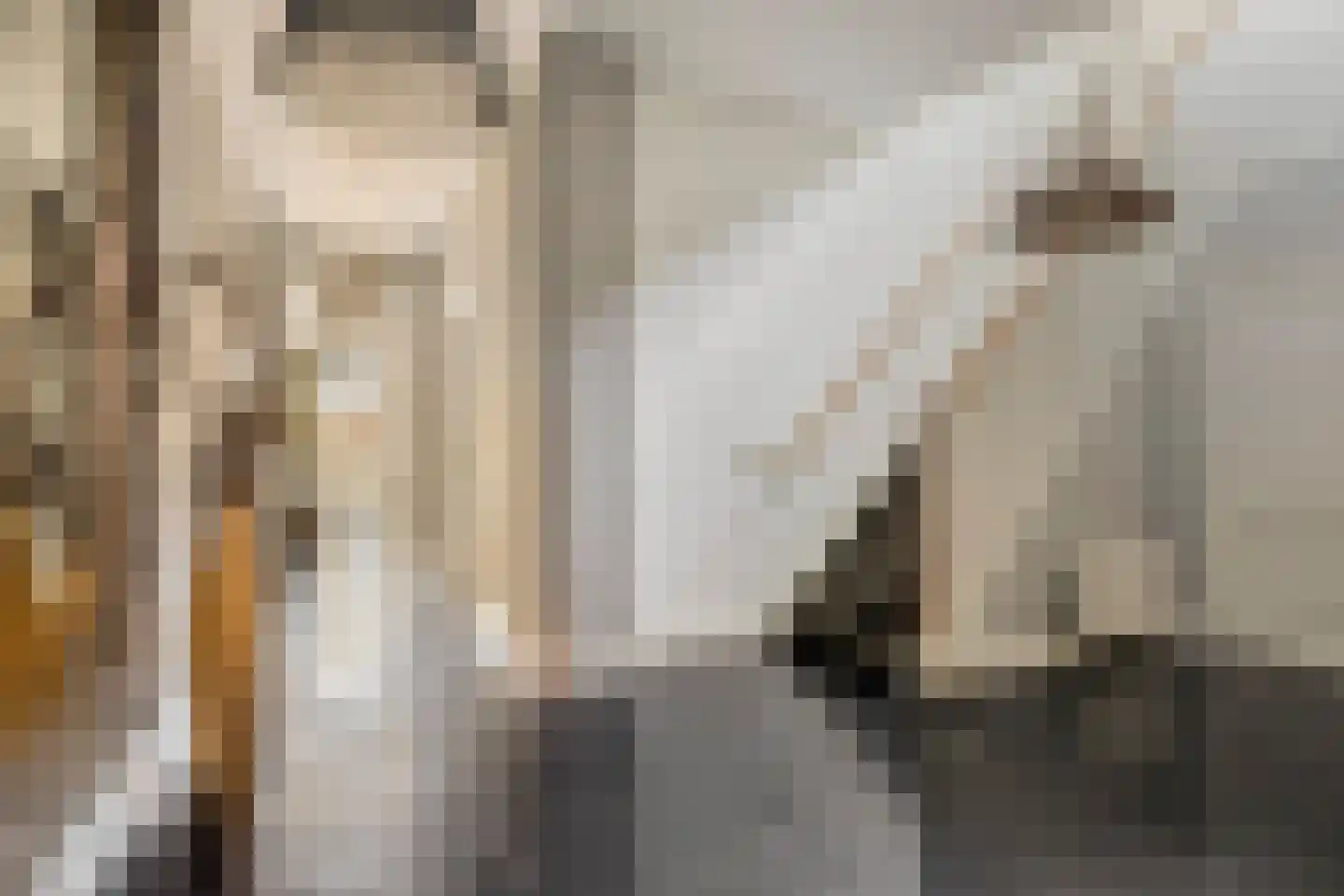 Grotestraat 128 Waalwijk thumbnail 7