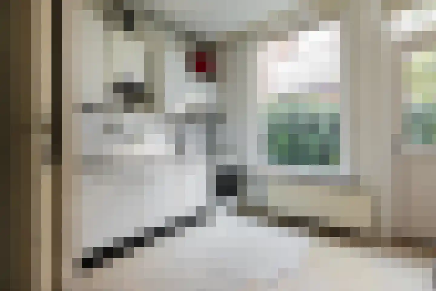 Grotestraat 13 B Wehl thumbnail 19