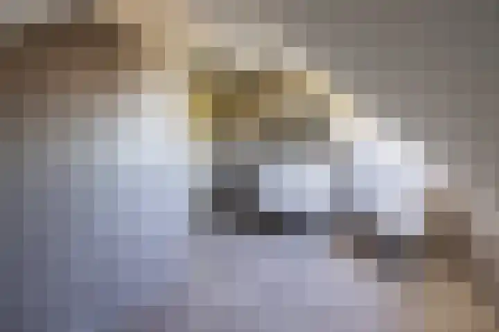 Grotestraat 13 B Wehl thumbnail 25