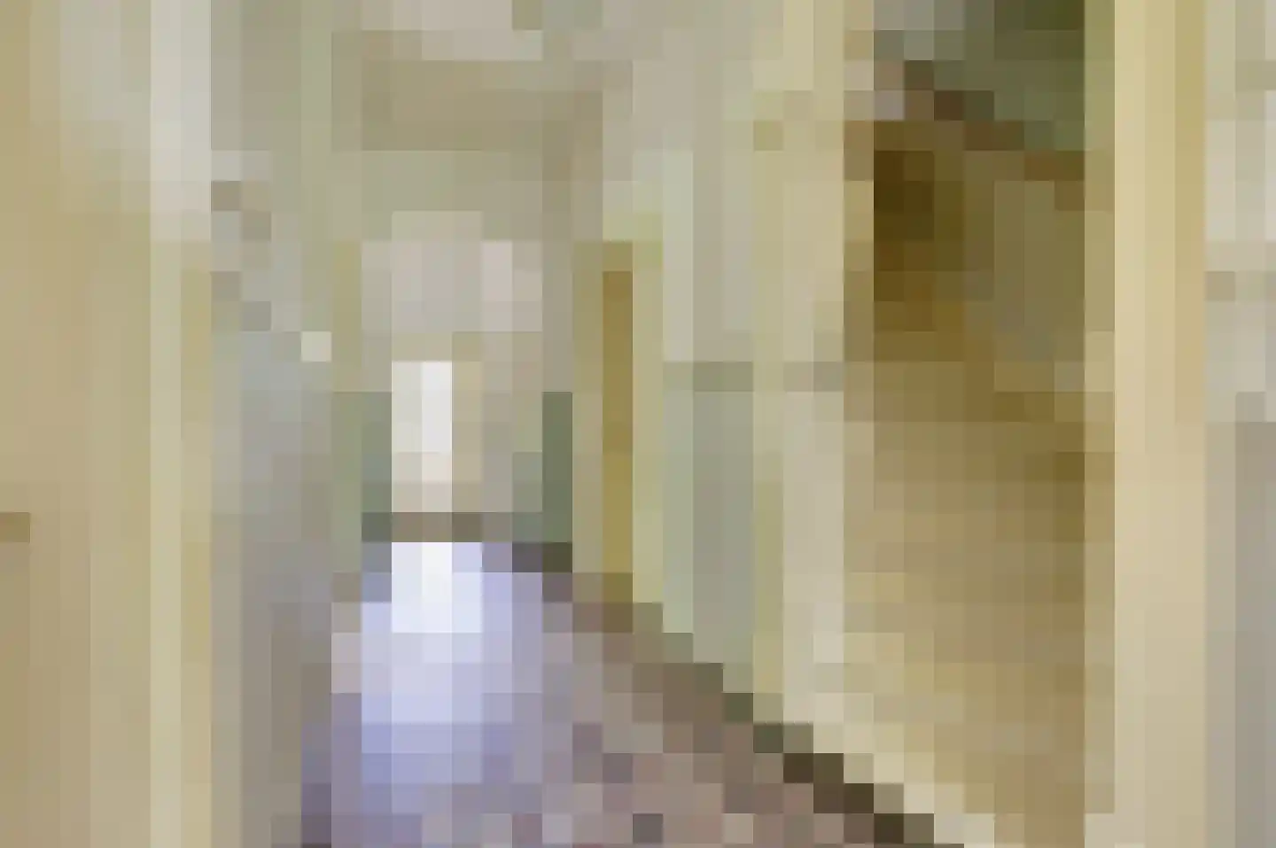 Grotestraat 13 Deest thumbnail 10