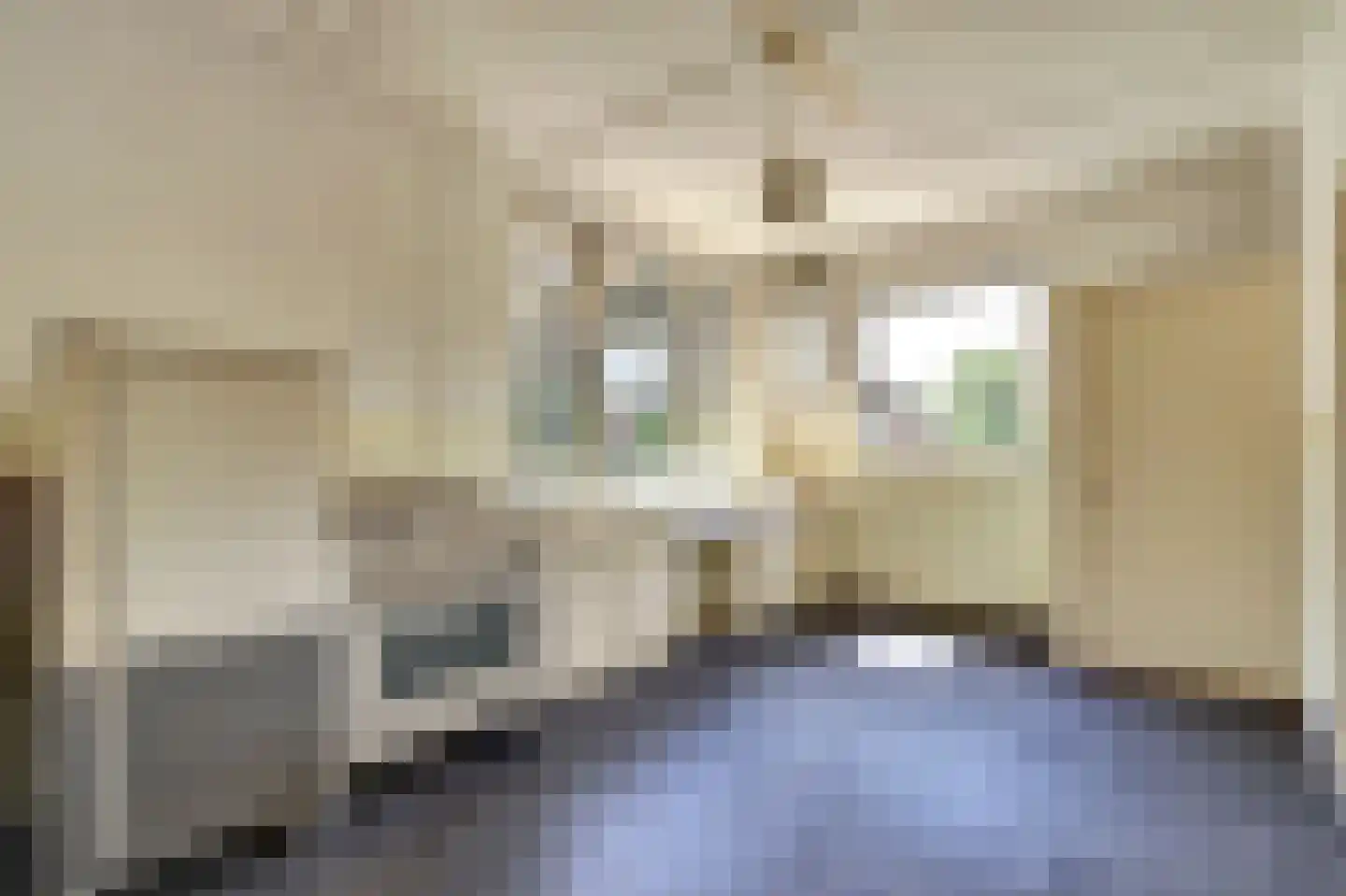 Grotestraat 13 Deest thumbnail 17