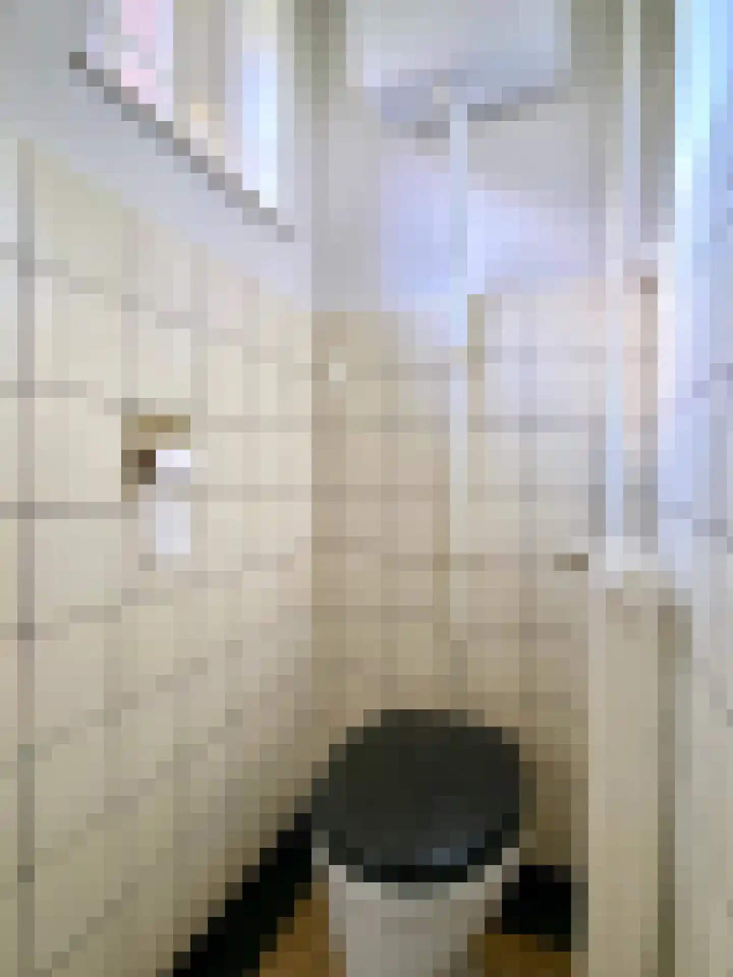 Grotestraat 13 Deest thumbnail 19