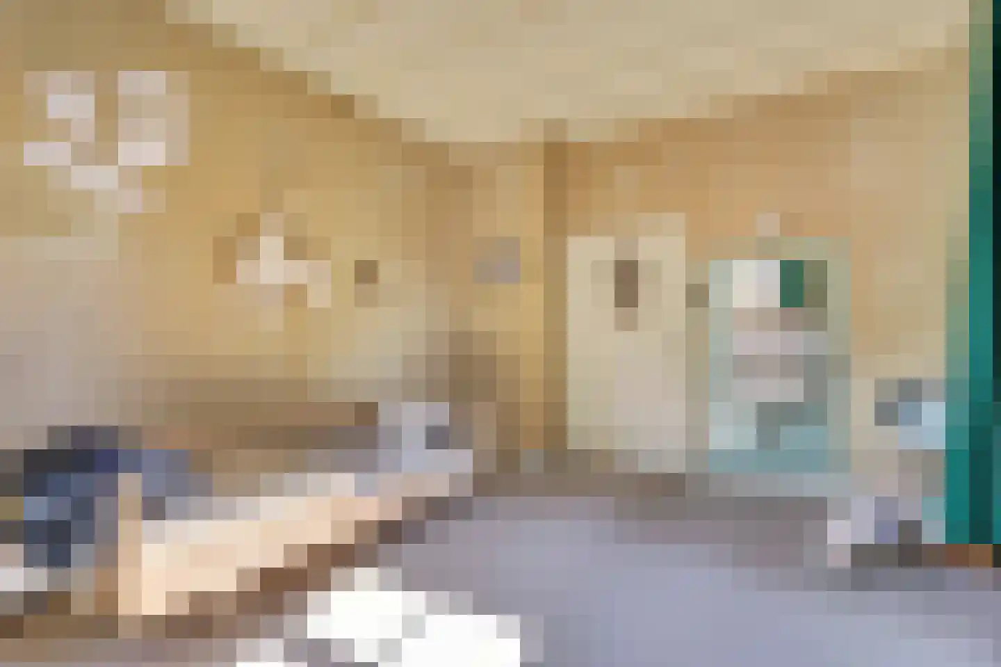 Grotestraat 13 Deest thumbnail 26