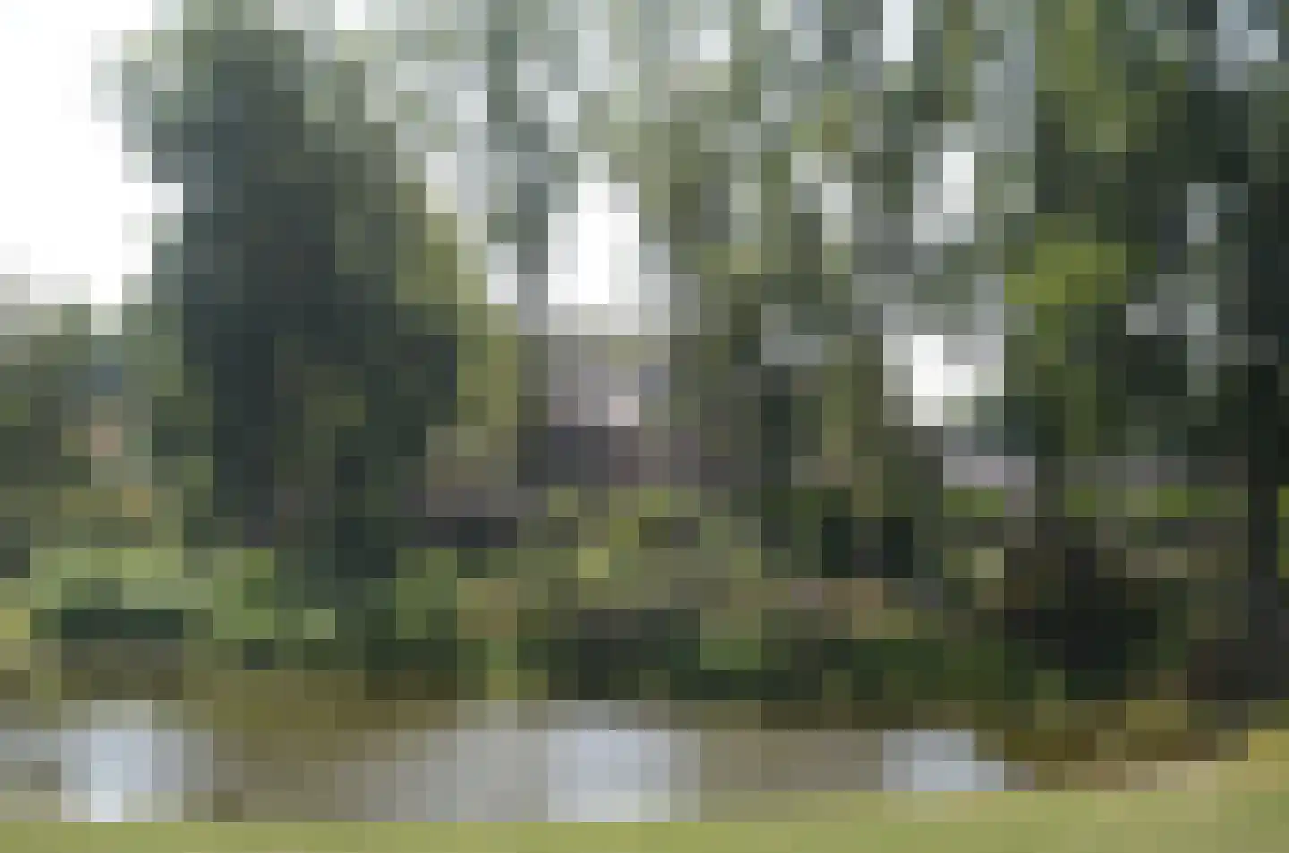 Grotestraat 13 Deest thumbnail 39