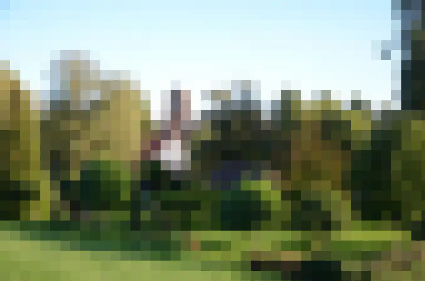 Grotestraat 13 Deest thumbnail 40