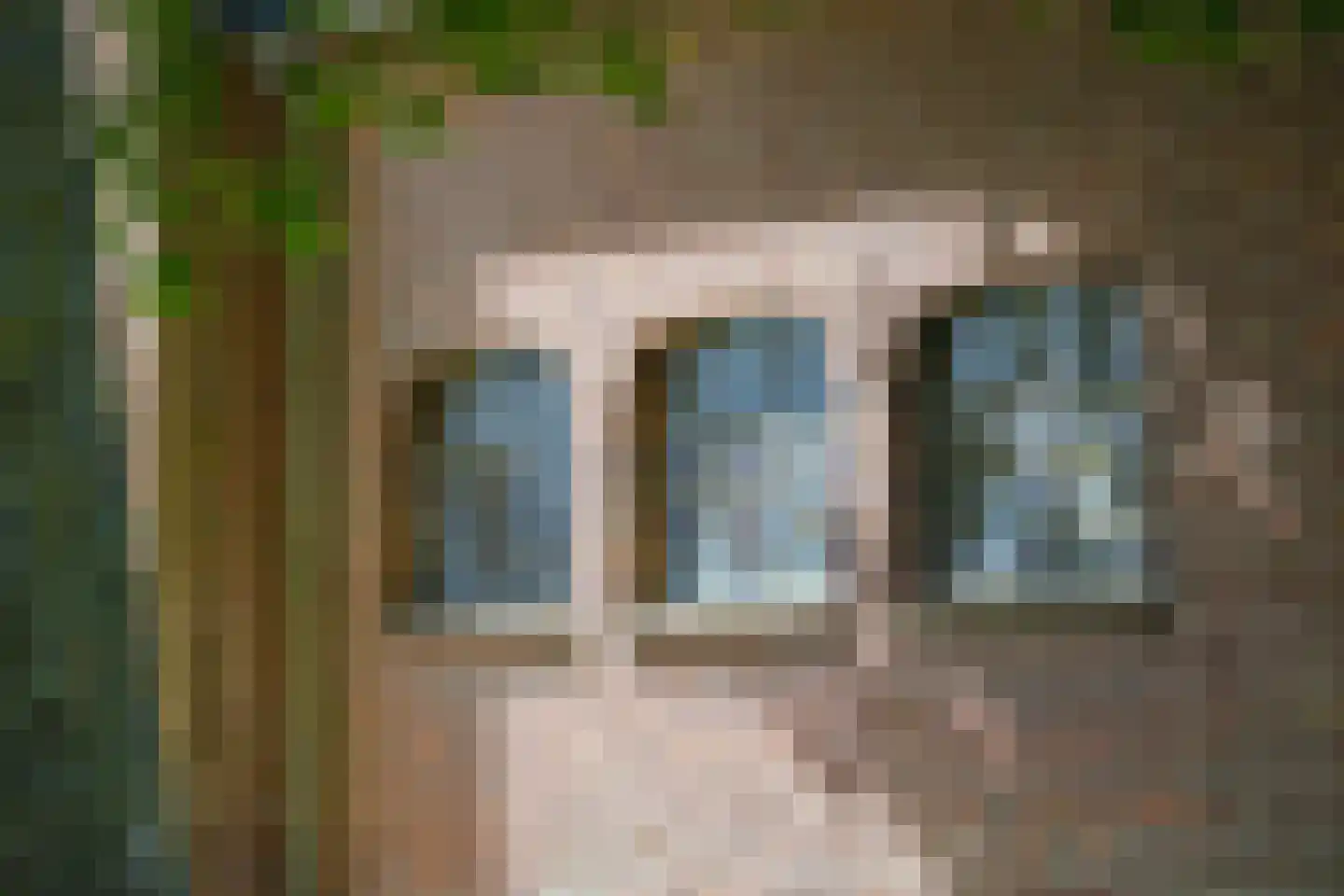 Grotestraat 13 Deest thumbnail 48