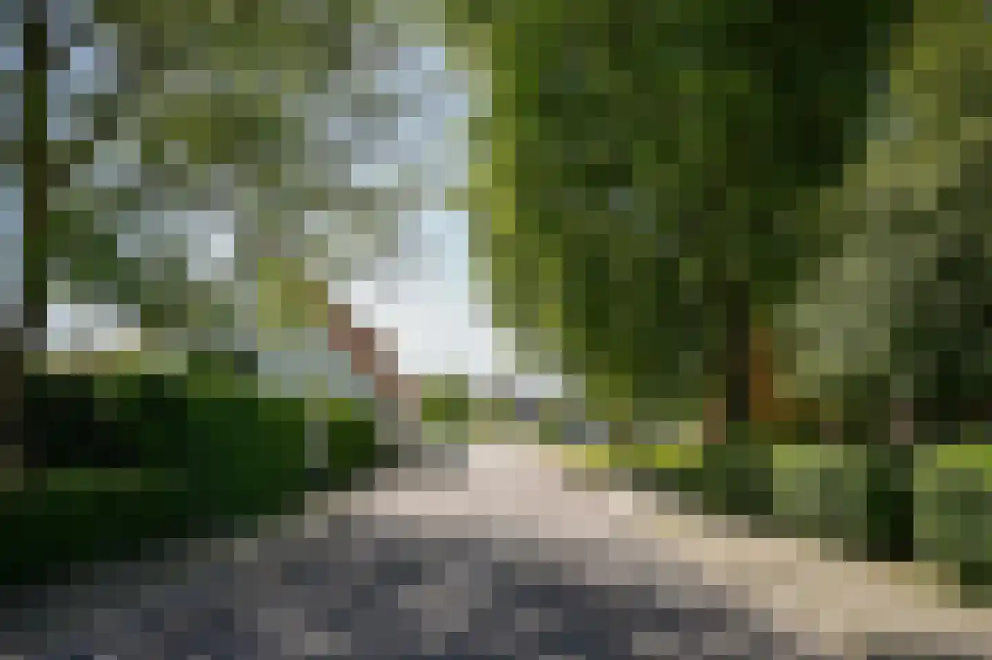 Grotestraat 13 Deest thumbnail 51