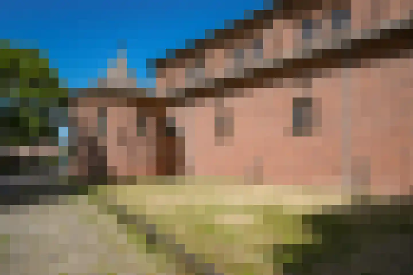 Grotestraat 13 Deest thumbnail 53