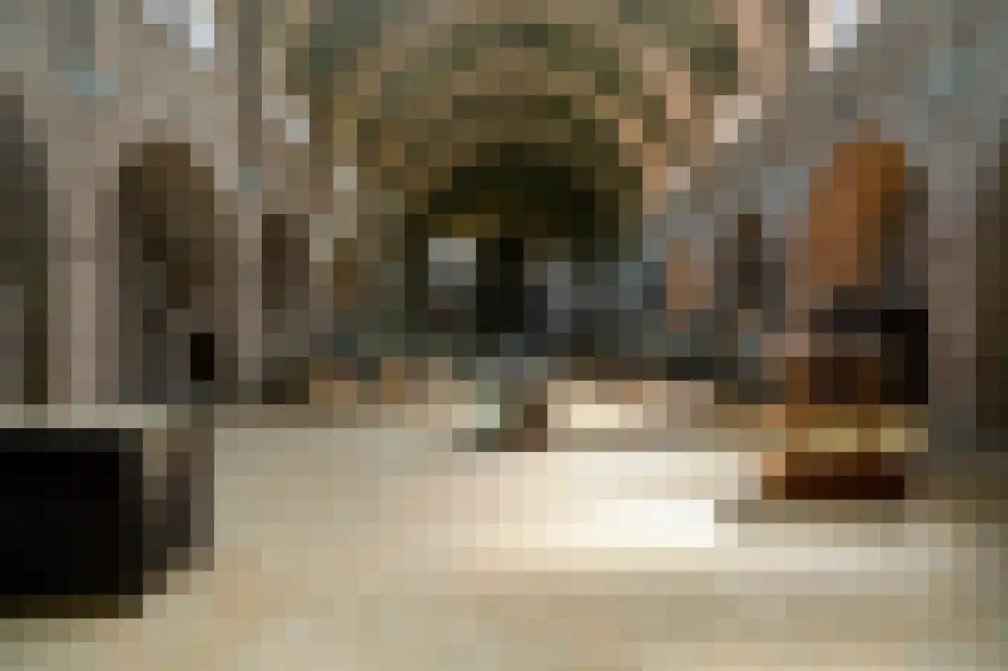 Grotestraat 13 Deest thumbnail 59