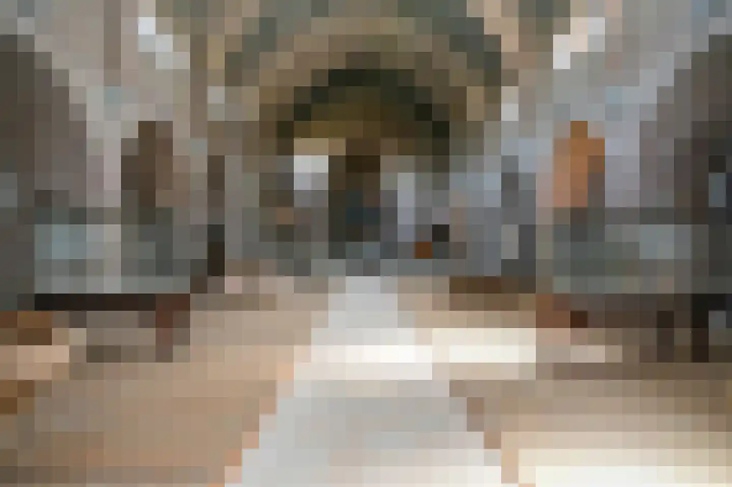 Grotestraat 13 Deest thumbnail 60
