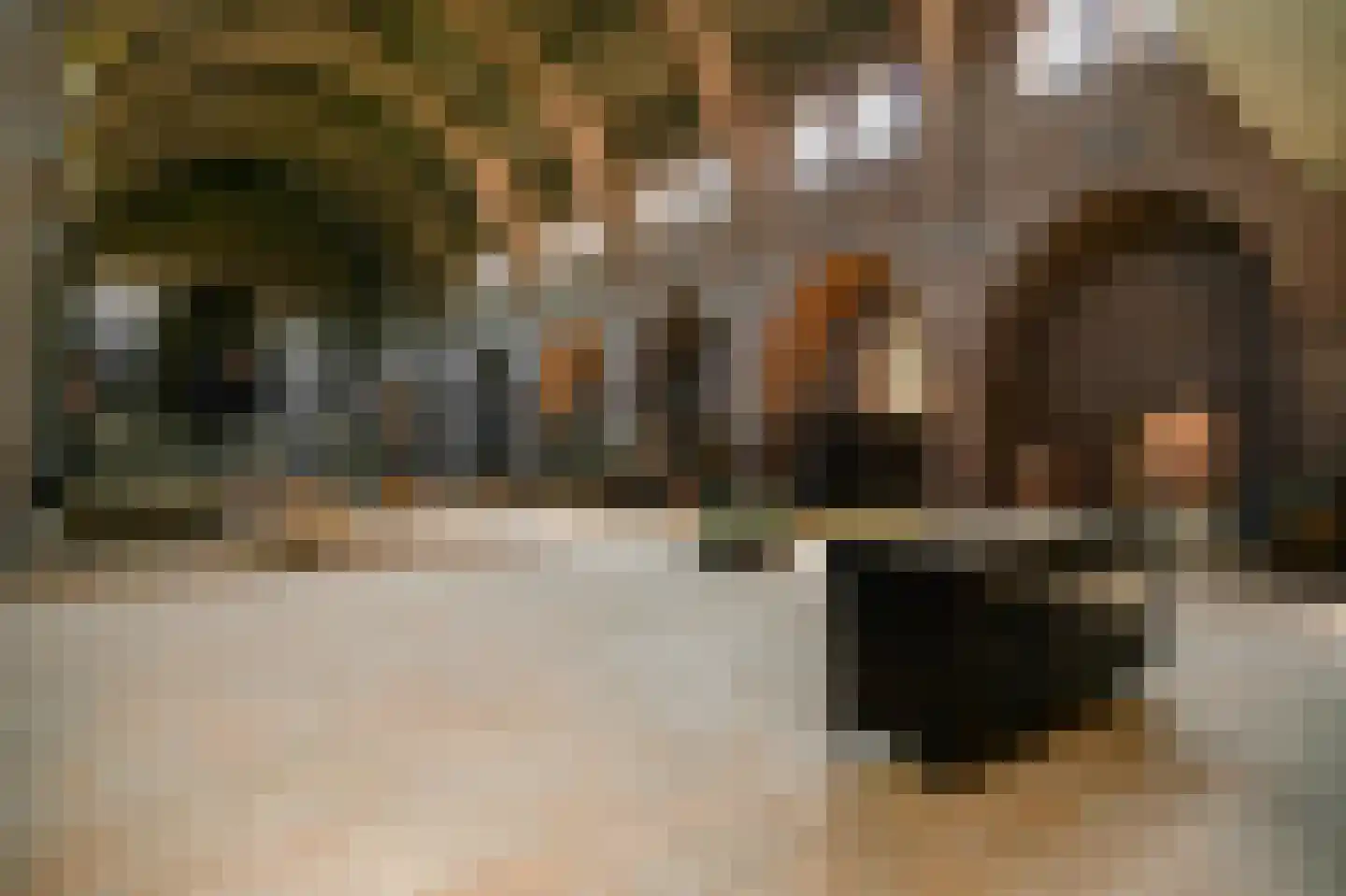 Grotestraat 13 Deest thumbnail 64