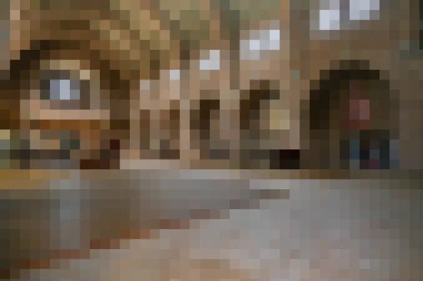 Grotestraat 13 Deest thumbnail 68