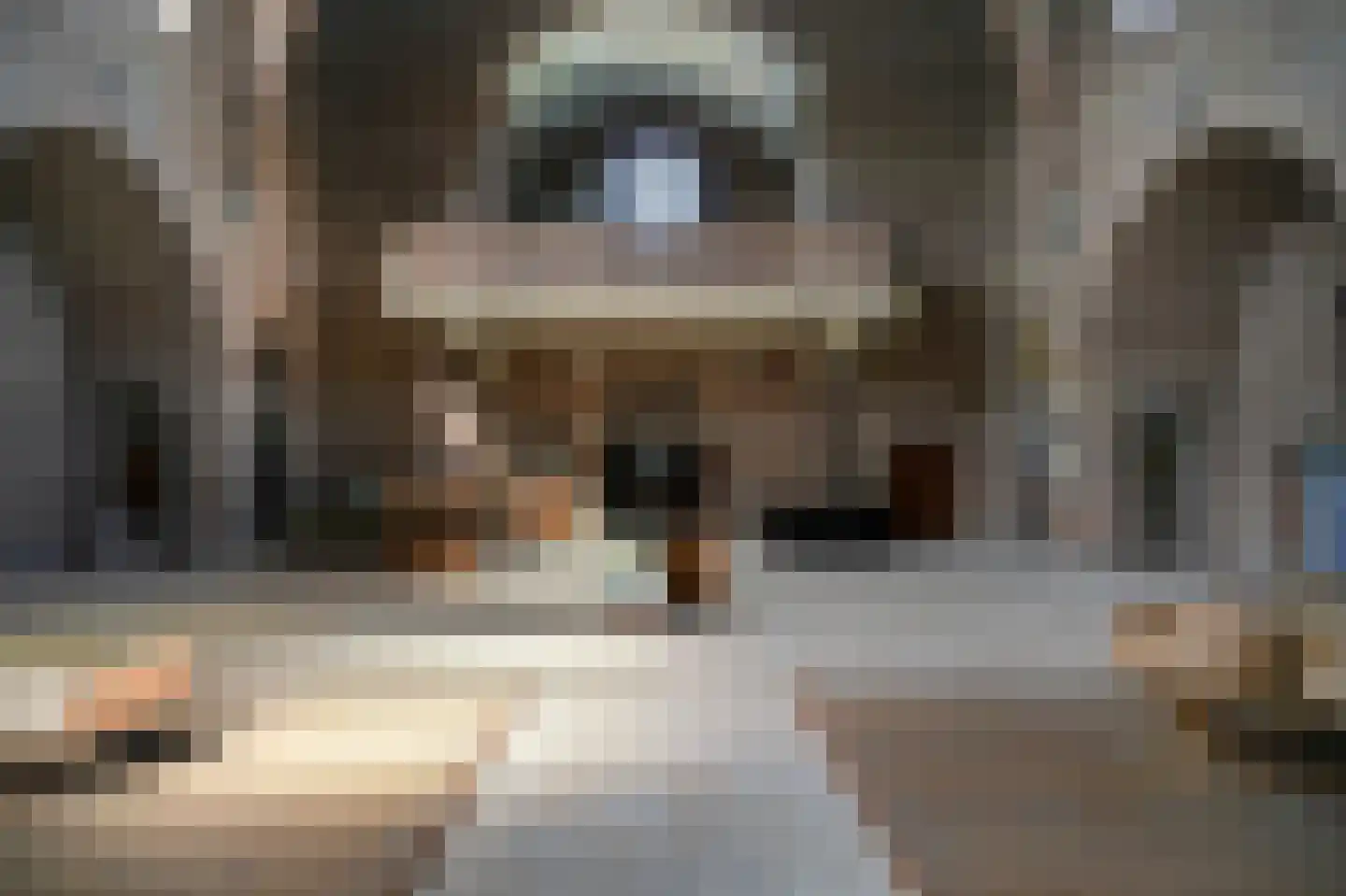 Grotestraat 13 Deest thumbnail 72