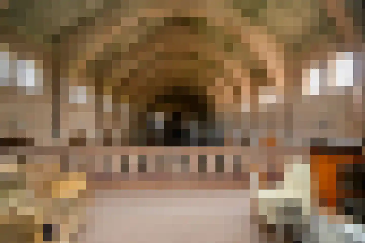 Grotestraat 13 Deest thumbnail 75