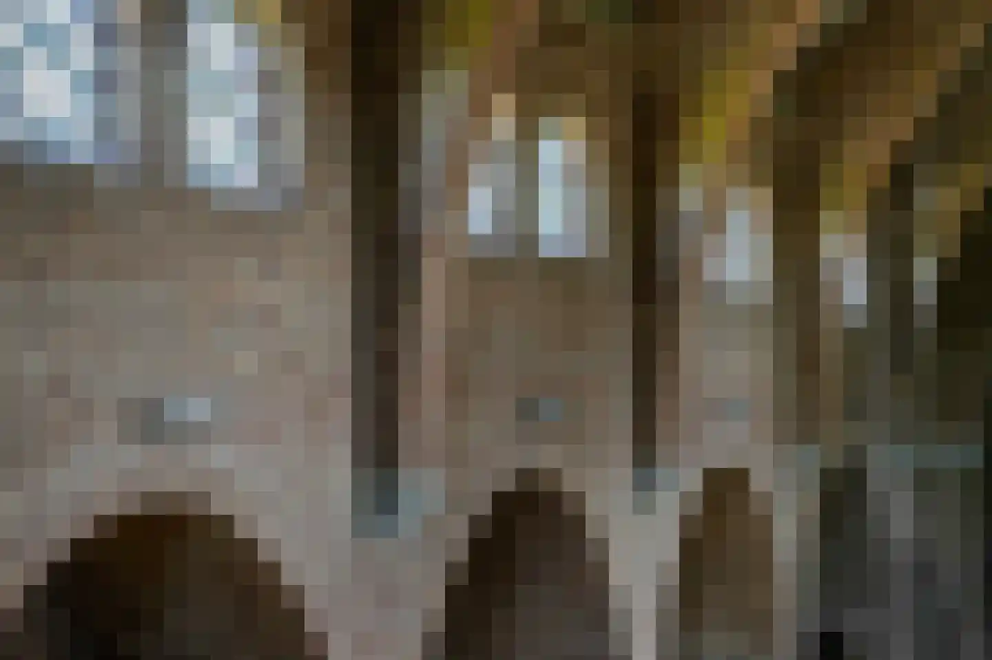 Grotestraat 13 Deest thumbnail 77