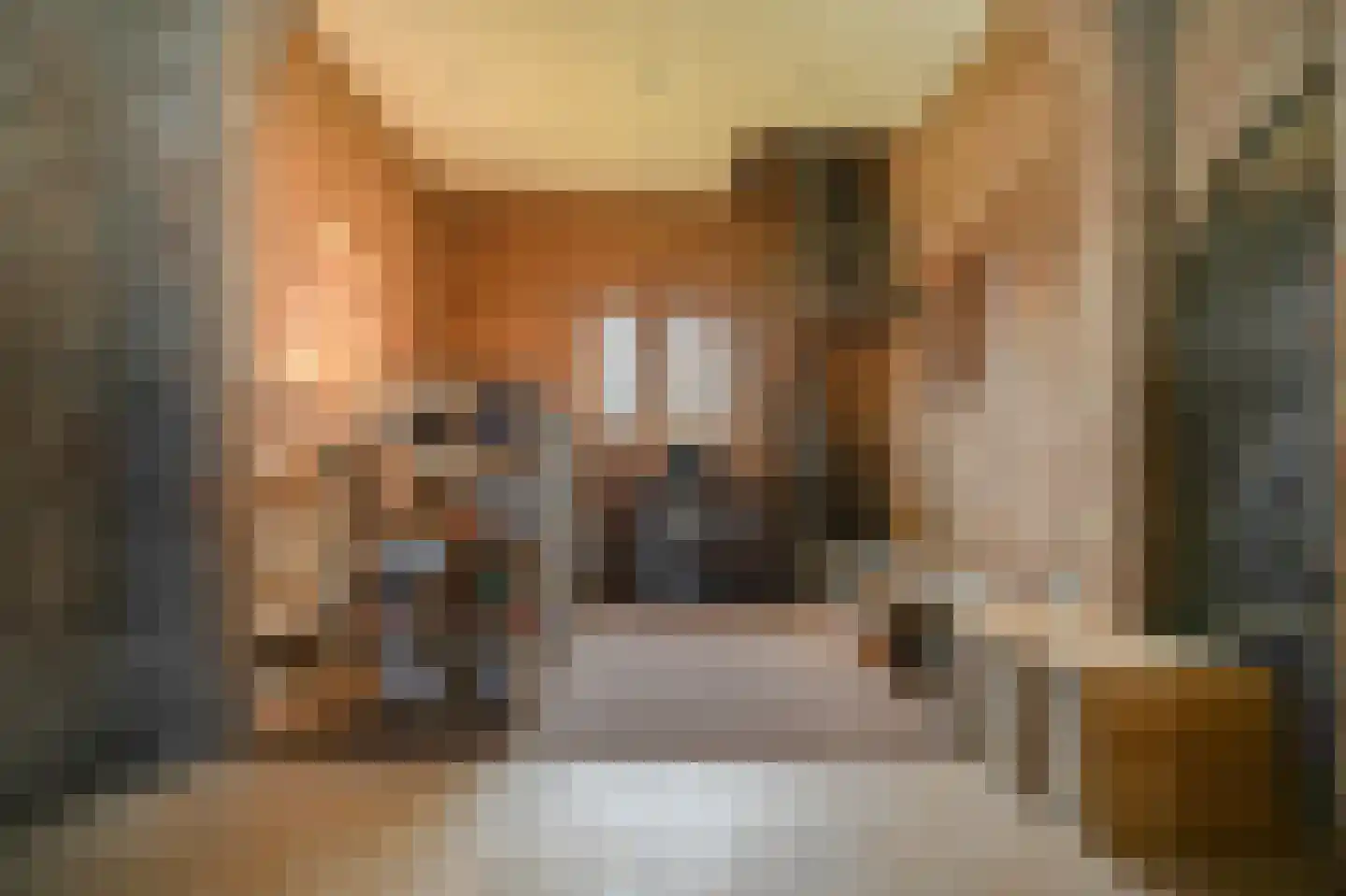 Grotestraat 13 Deest thumbnail 80