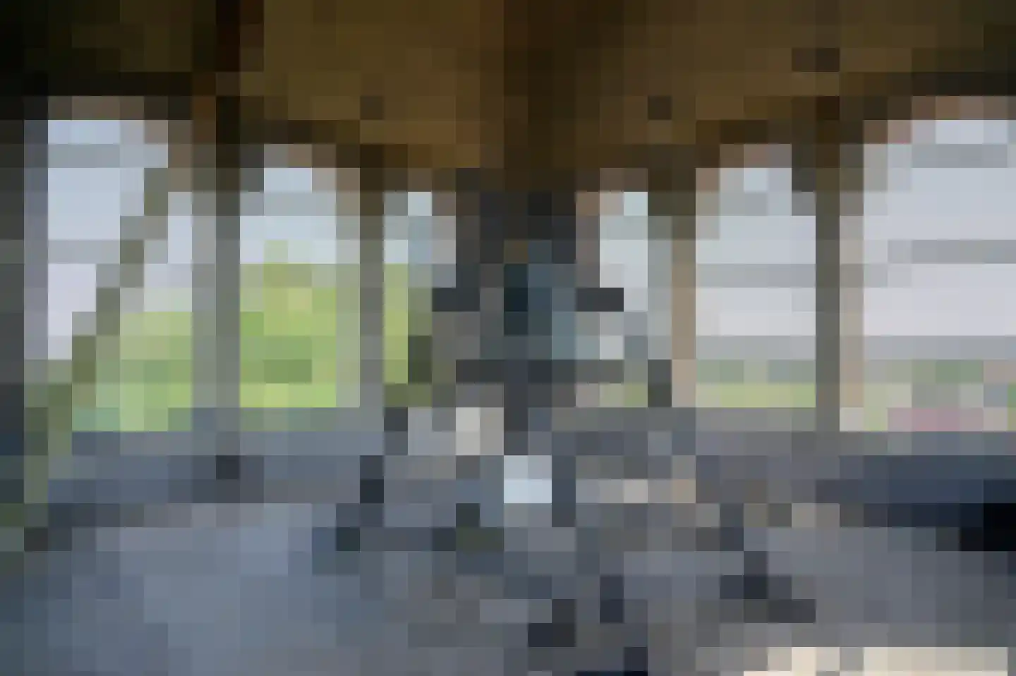 Grotestraat 13 Deest thumbnail 81