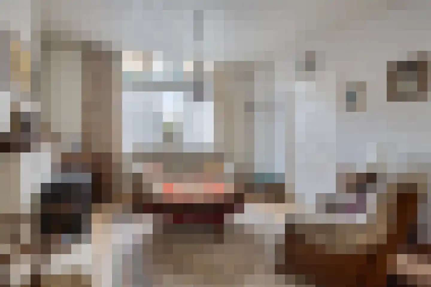 Grotestraat 13 Goor thumbnail 10
