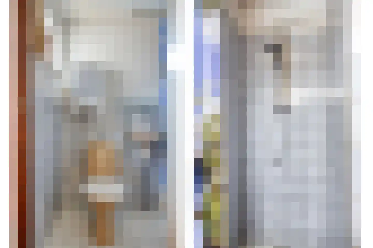 Grotestraat 13 Goor thumbnail 19