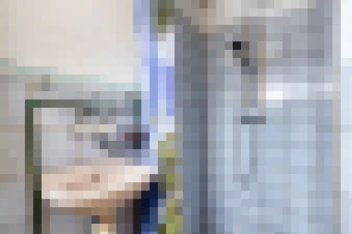 Grotestraat 13 Goor thumbnail 20